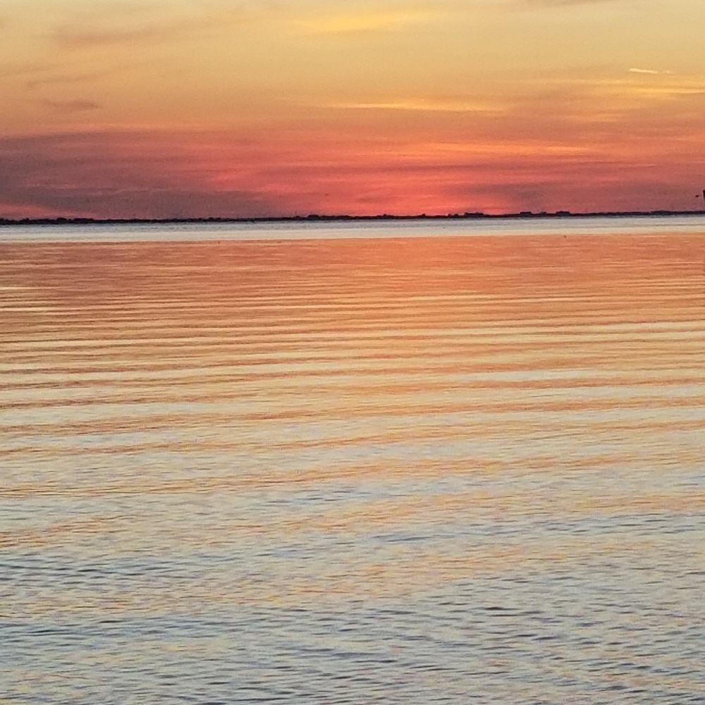 Meet your Posher, Aloha Brunch - Picture 8 of 8